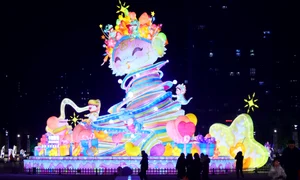 sarpe instalatie profimedia jpg