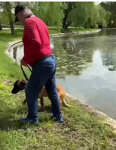 Dosar penal după ce un bărbat ar fi încercat să-și înece câinele în Parcul Tineretului. Animalul a fost preluat de ASPA