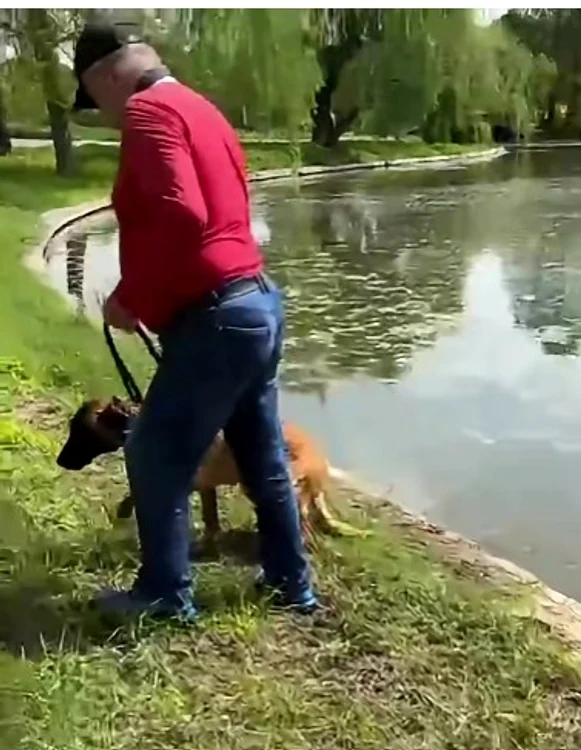 Un bărbat ar fi încercat să-și înece câinele în Parcul Tineretului. FOTO: Captură Video 