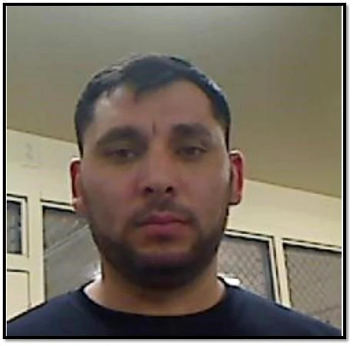 Aly Sadoveanu a fost adus în țară și urmează să fie înmormântat