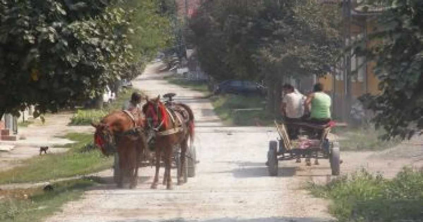Reşiţa: Un şofer a lovit o căruţă în care se aflau trei copii
