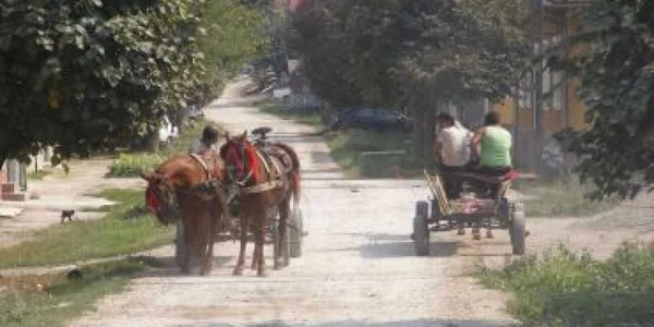 Reşiţa: Un şofer a lovit o căruţă în care se aflau trei copii