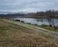 Lacul lebedelor de pe Râul Strei Foto Daniel Guță (17) jpg