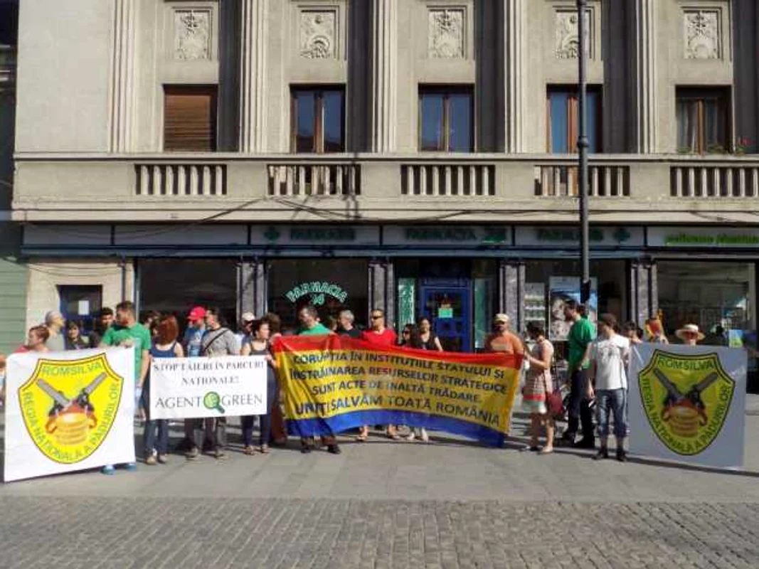 protest paduri sibiu 7.06.2015