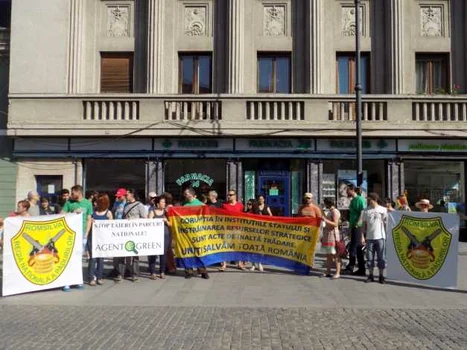 protest paduri sibiu 7.06.2015