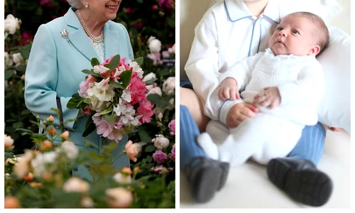 vizita strabunica jpeg