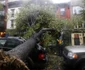 sandy new jersey reuters