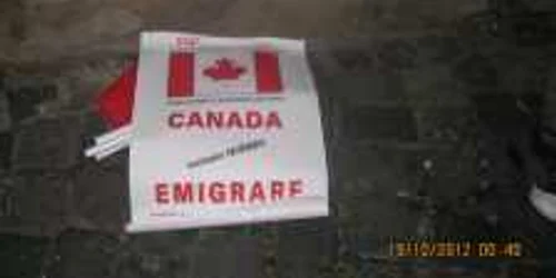 Afişe publicitare cu "Emigrare în Canada"