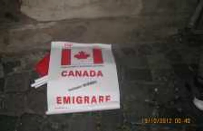 Afişe publicitare cu "Emigrare în Canada"