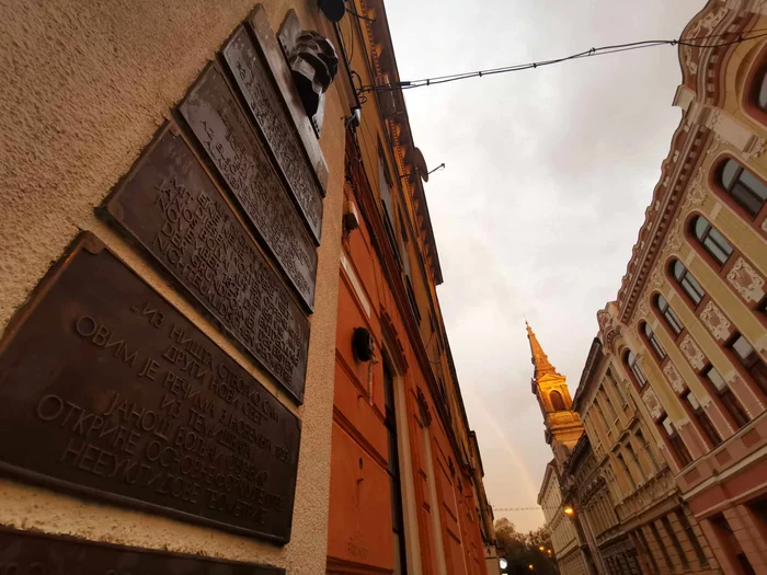 Monument pentru Bolyai la Timișoara FOTO Ștefan Both