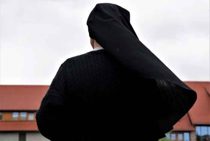 Călugăriță / Foto: Shutterstock