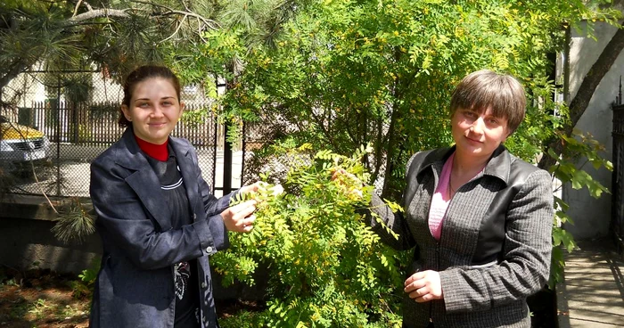 Profesoarele Liana Ţîrău şi Emilia Bota lângă arbustul himalayan Caragana