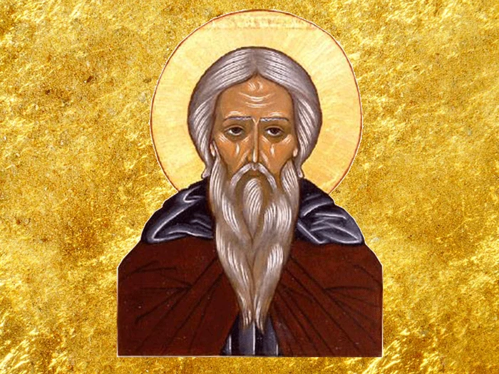 Sfântul Cuvios Nichita Mărturisitorul (foto: doxologia.ro)