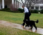 bo caine barack obama. Foto Profimedia