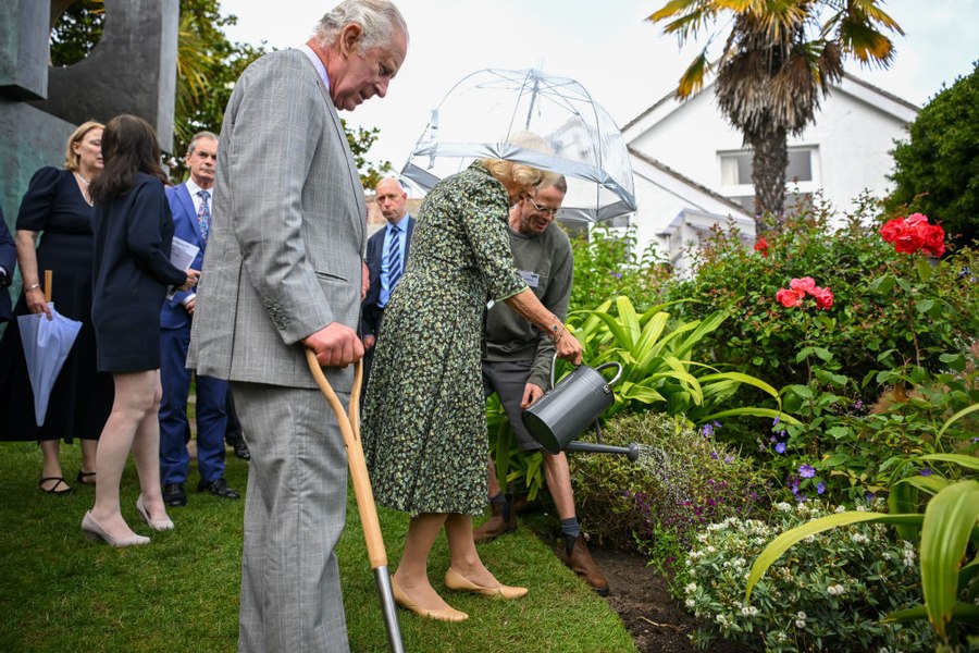 Mii de copaci vor fi plantaţi în Marea Britanie pentru a marca încoronarea regelui Charles
