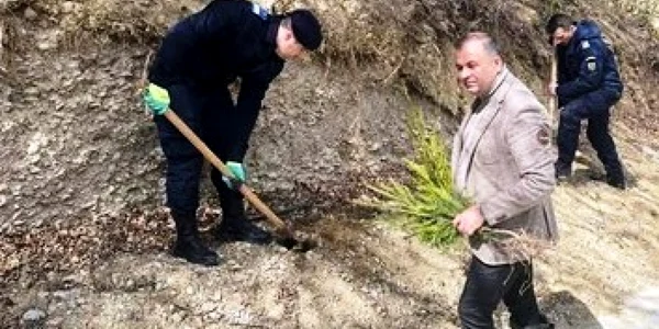 prefect halici psd