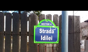Cu ochii n 3,14 jpeg