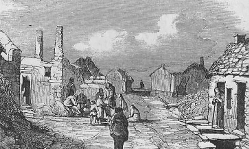 A fost descoperită ciuperca vinovată pentru Marea Foamete Irlandeză jpeg