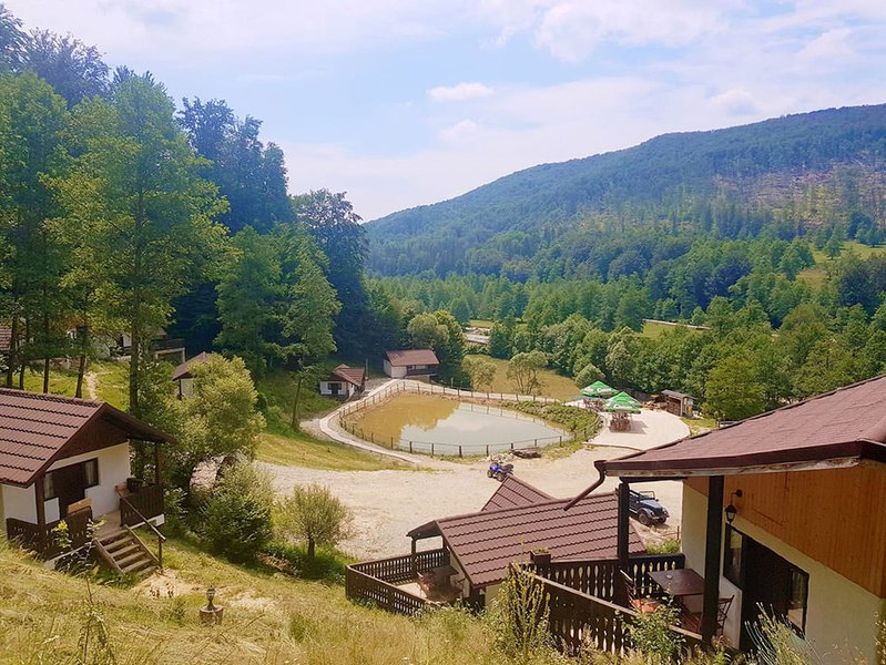 Povestea complexului „Satu' Muscelean“, locul în care turiștii pot experimenta viața la țară în propria căsuță tradițională