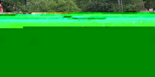 instrutatul boului figa  9