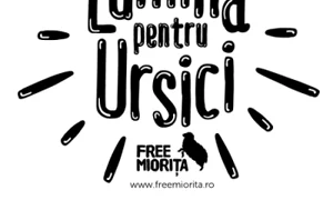 Lumină pentru România jpeg