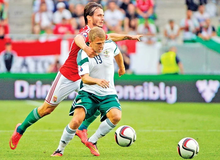 
    Nord-irlandezii le-au luat faţa maghiarilor la  debutul în preliminariiFoto: AP  