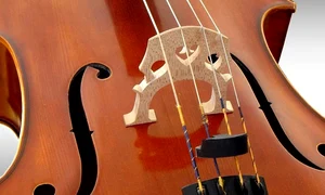 Violoncelul metaforic: integrare – dezintegrare – reintegrare jpeg