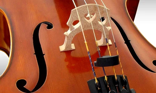 Violoncelul metaforic: integrare – dezintegrare – reintegrare jpeg