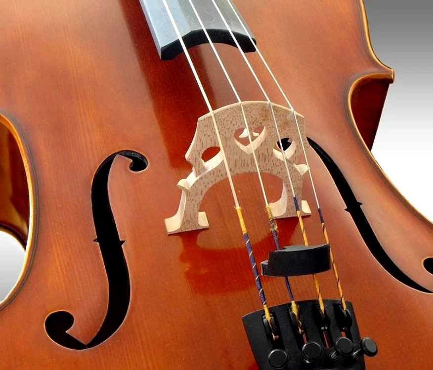 Violoncelul metaforic: integrare – dezintegrare – reintegrare jpeg