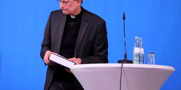 Cardinalul Rainer Maria Woelki FOTO EPA-EFE