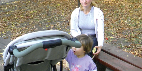Parcul municipal  se schimbă la faţă