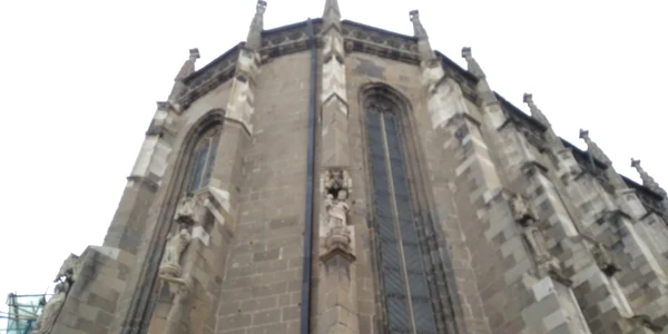 Statuile de pe Biserica Neagră din Braşov sunt afectate de poluare FOTO Ioan Buciumar