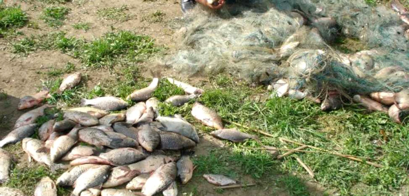 Capturi „record“ ale autorităţilor din Tulcea