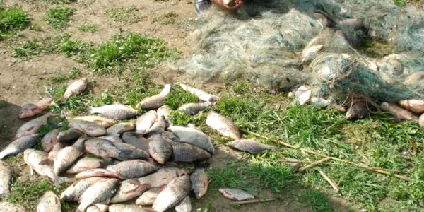 Capturi „record“ ale autorităţilor din Tulcea