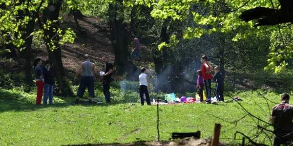 Petrecăreţii vor ieşi la picnic