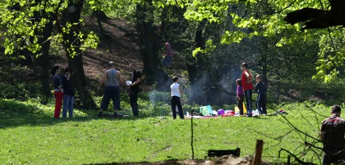 Petrecăreţii vor ieşi la picnic