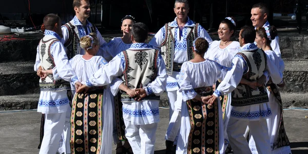 FOTO: www.tomesti.ro