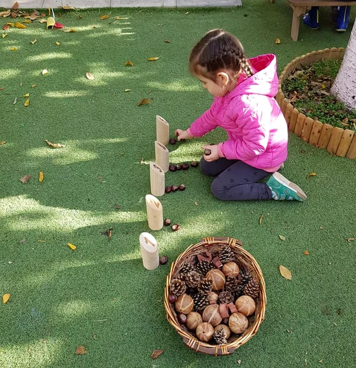 Copiii învață să numere cu nuci, castane și ghinde FOTO Cremona Stegaru