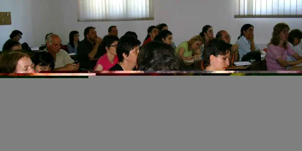 Profesorii dau examenul de titularizare