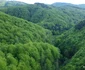 Valea Mică, spre Rapa cu Galbeni Foto Daniel Guță (22) JPG