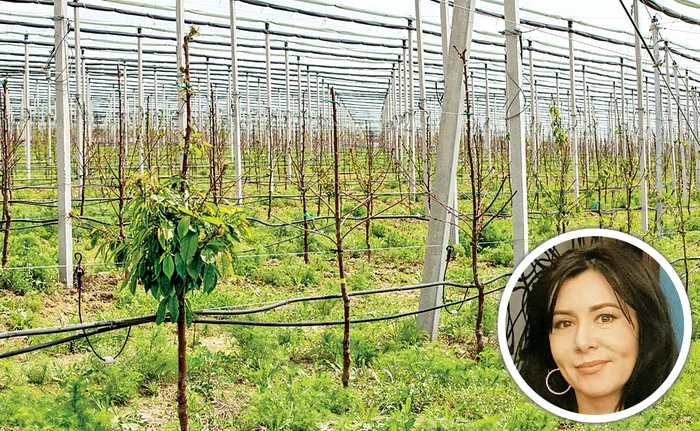 Irina Florea arată că pomii din livadă n-au mai înflorit