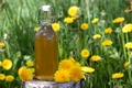 sirop papadie jpg