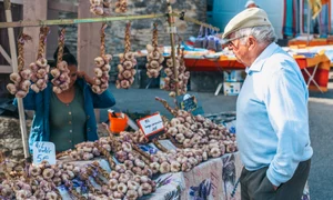 panesionar taraba cu usturoi jpeg