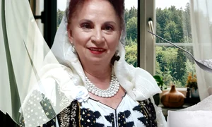 banner gherghina stancu jpg