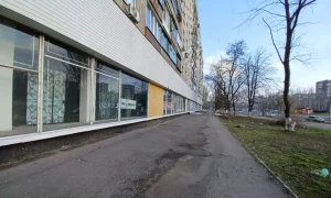 2742331297759806037924617537357645440273161n webp