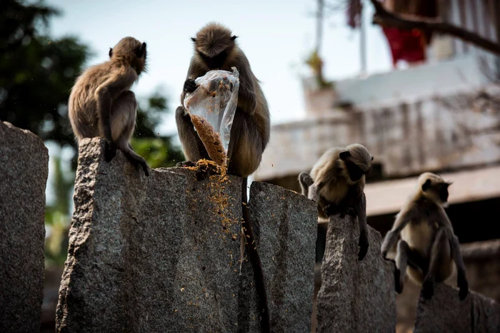 
    Cocuța și Bogdan Boantă au întâmpinqat probleme la o probă  