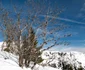 piatra iorgovanului foto marius turc