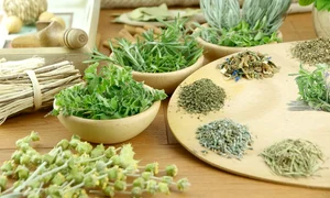 CLIIMA20130901 0061 1 jpeg