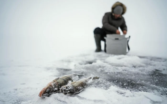 Pescuitul în ape înghețate, o tradiție pe cale de dispariție. Foto. Freepik.com