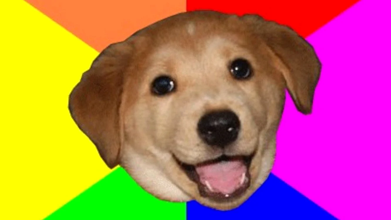 meme advice dog